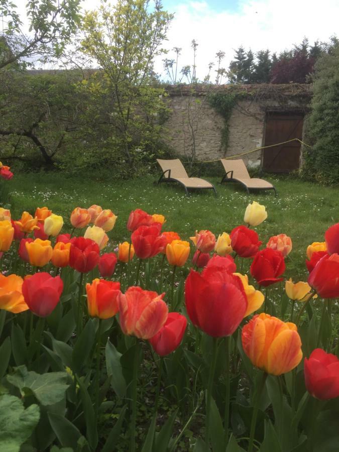 Bed and Breakfast Le Clos Tilia Cléry-Saint-André Exterior foto